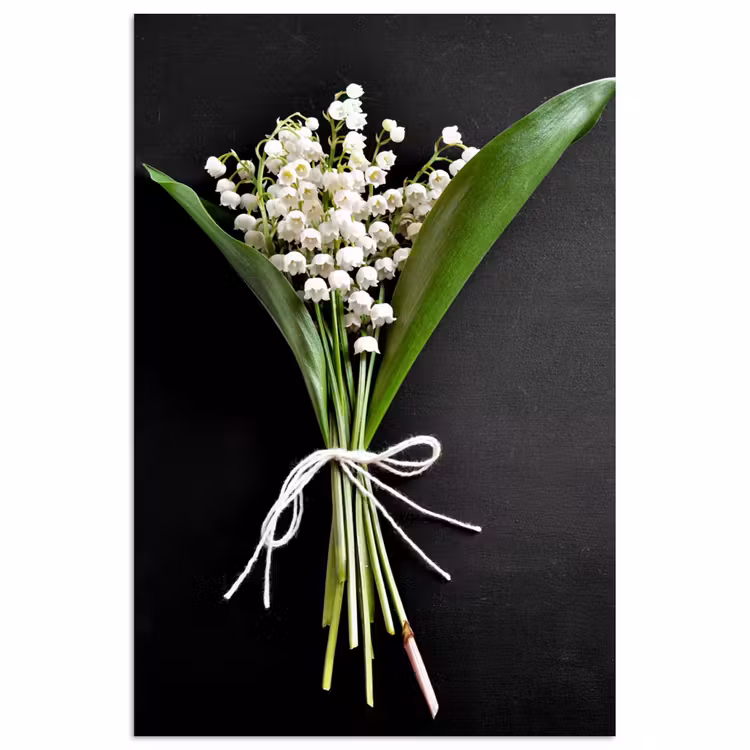 Poster - Lelietjes van dalen - Bloemen - Stilleven - Flora — 1