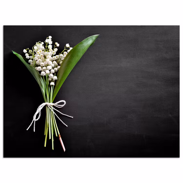 Poster - Lelietjes van dalen - Bloemen - Stilleven - Strik — 1
