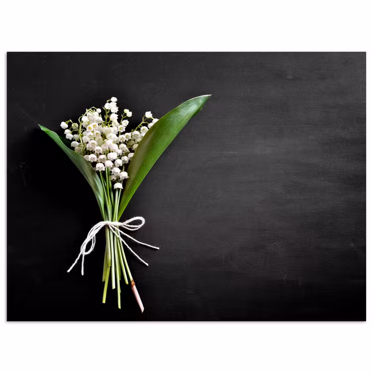 Poster - Lelietjes van dalen - Bloemen - Strik - Flora — 1