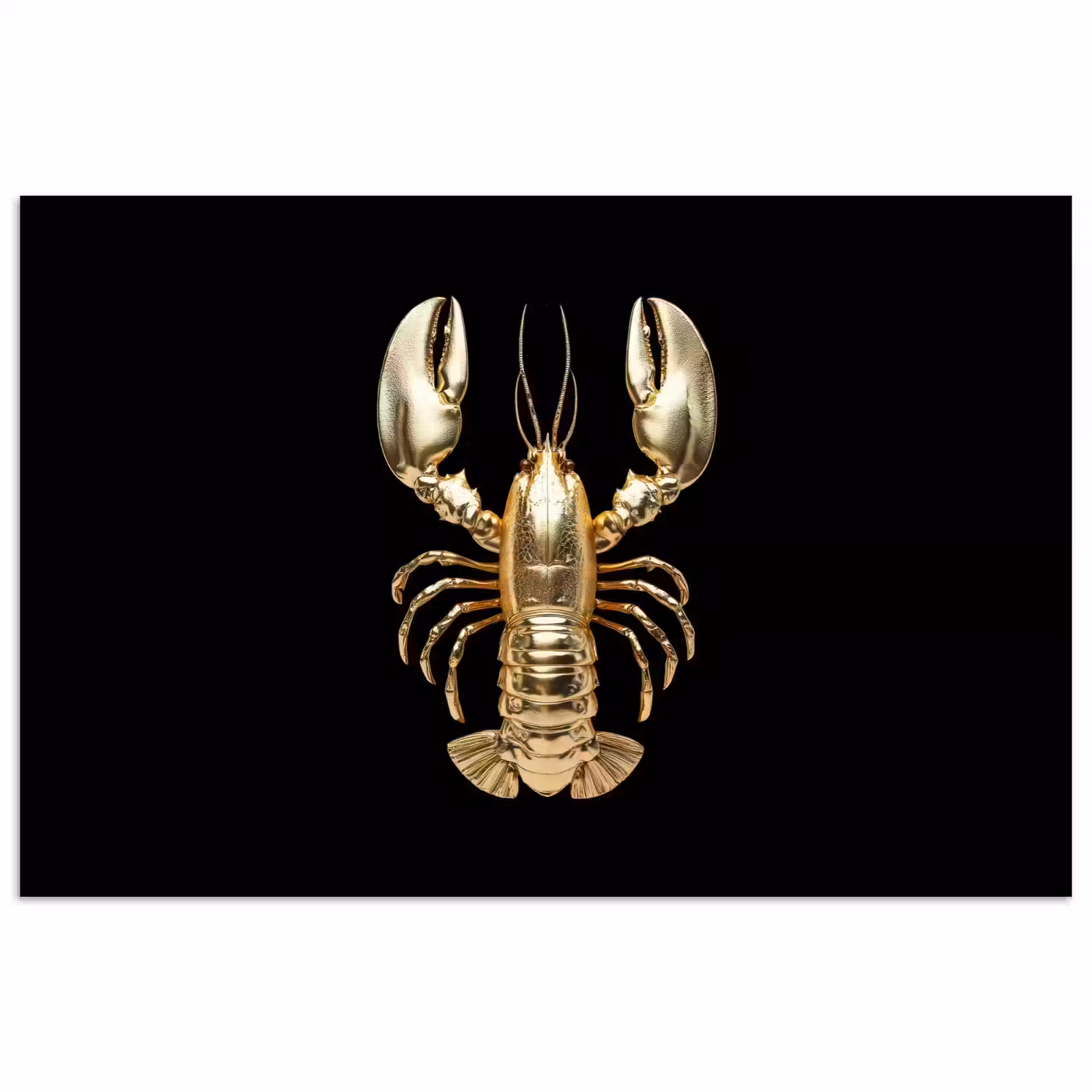 Poster - Kreeft - Goud - Textuur - Zwart — 1
