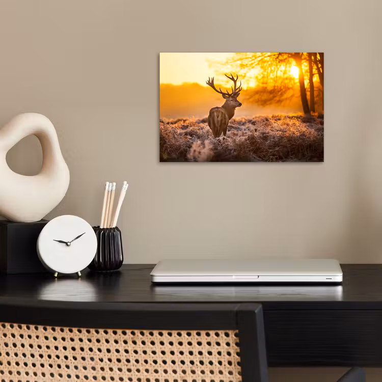 Poster - Hert - Dieren - Zonsondergang - Winter - Heide - Natuur — 2