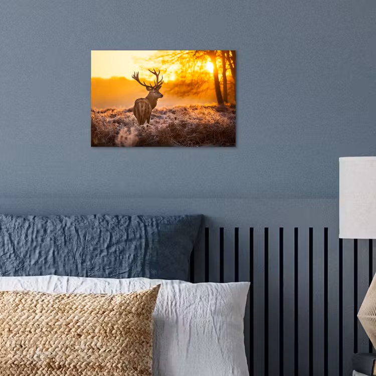 Poster - Hert - Dieren - Zonsondergang - Winter - Heide - Natuur — 3