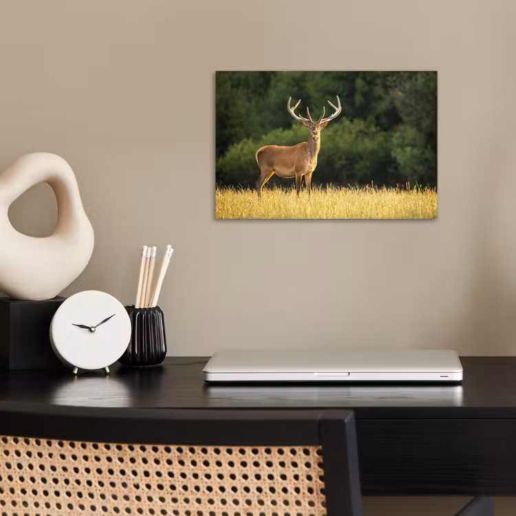 Poster - Hert - Gewei - Gras - Natuur - Dieren - Groen — 2