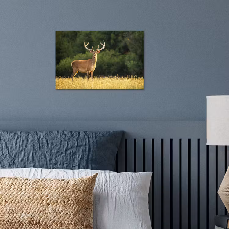 Poster - Hert - Gewei - Gras - Natuur - Dieren - Groen — 3