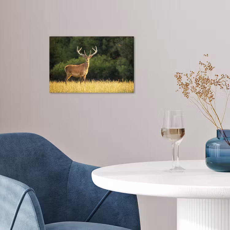 Poster - Hert - Gewei - Gras - Natuur - Dieren - Groen — 4