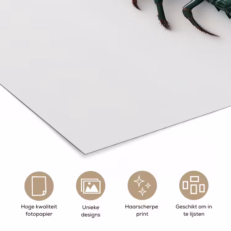 Poster - Kreeft - Glossier - Groen - Wit — 5