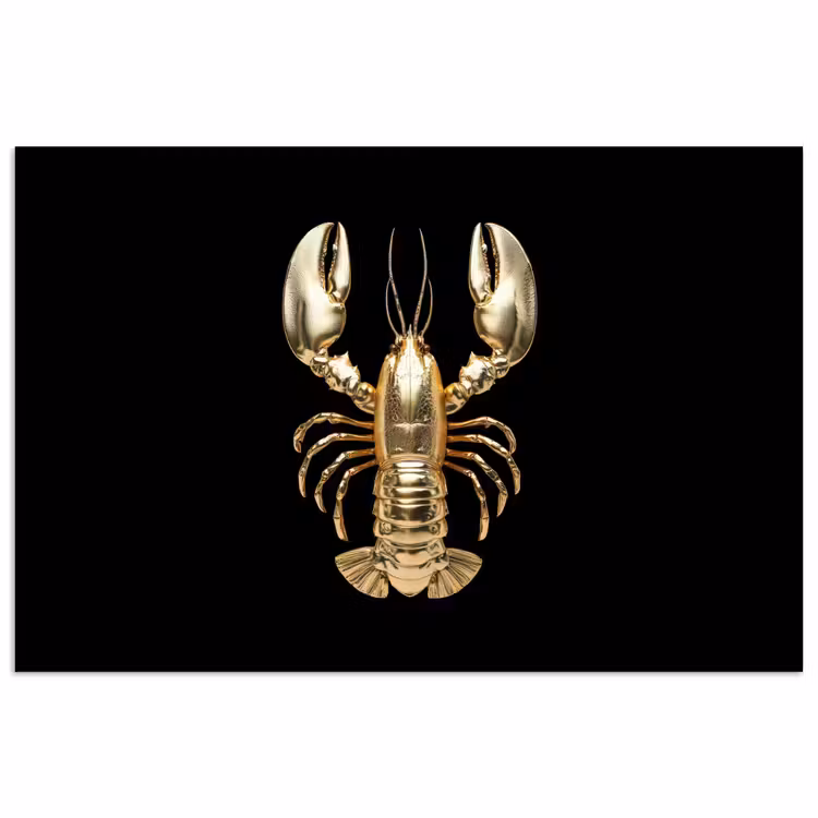 Poster - Kreeft - Goud - Textuur - Zwart — 1