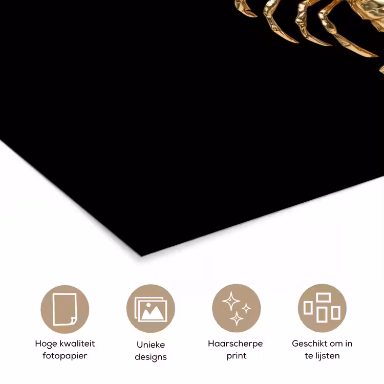 Poster - Kreeft - Goud - Textuur - Zwart — 5