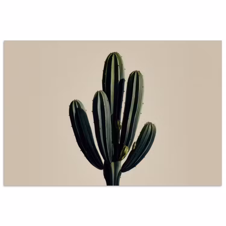 Poster - Cactus - Subtiel - Groen — 1