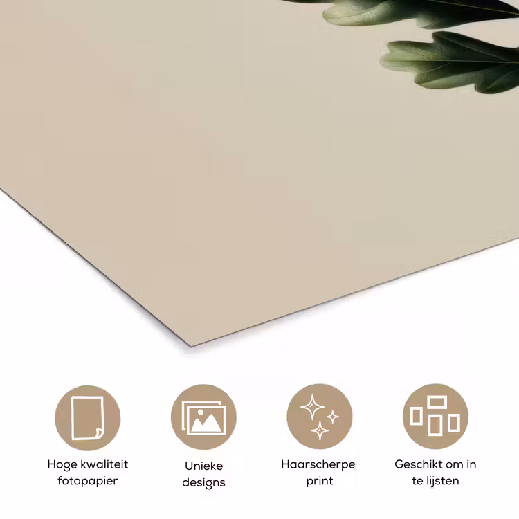 Poster - Eikenbladeren - Beige - Groen - Golvende randen — 5