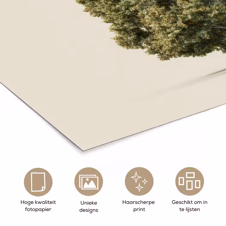 Poster - Eikenboom - Groen - Lichte achtergrond — 5