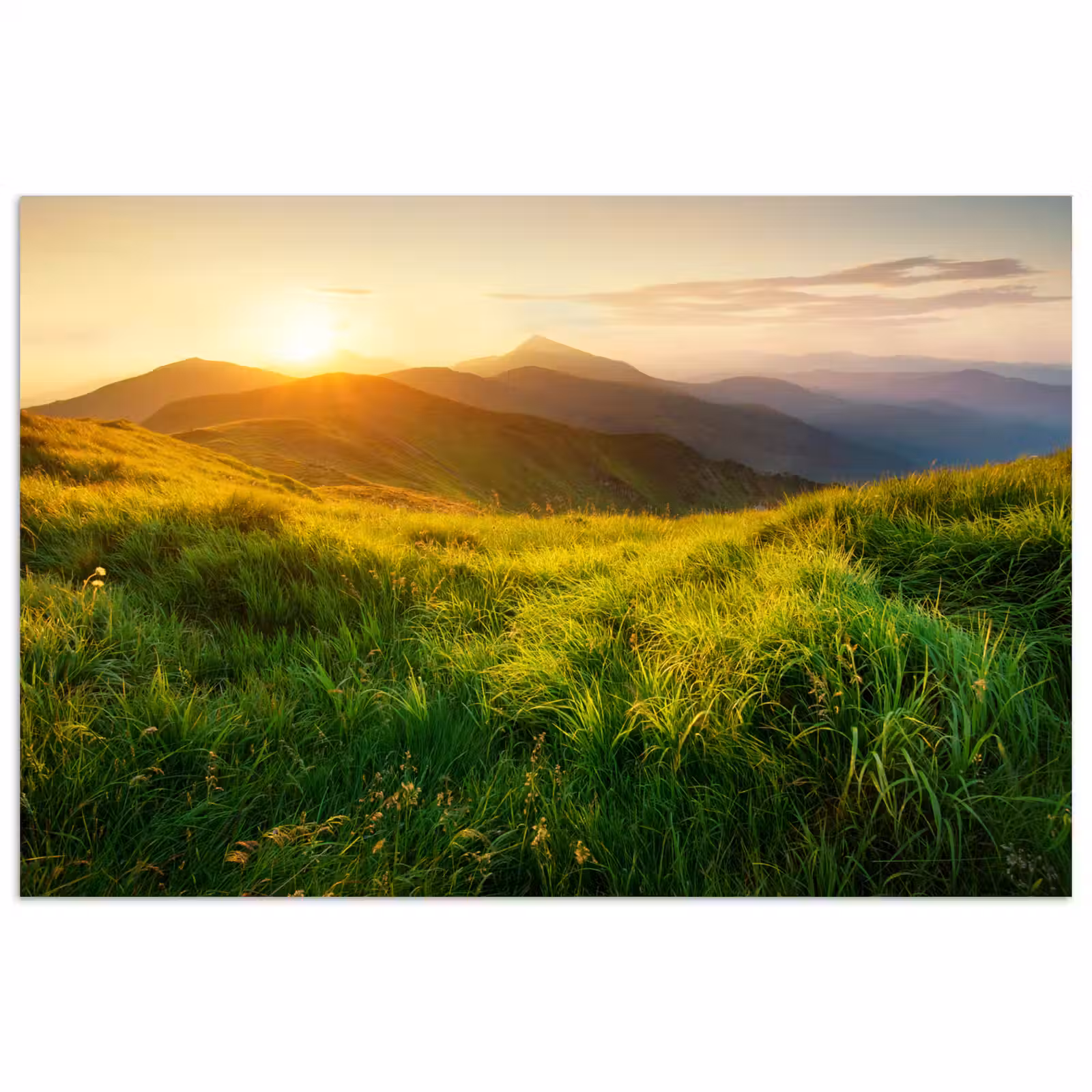 Poster - Gras - Heuvels - Zon - Natuur - Landschap — 1