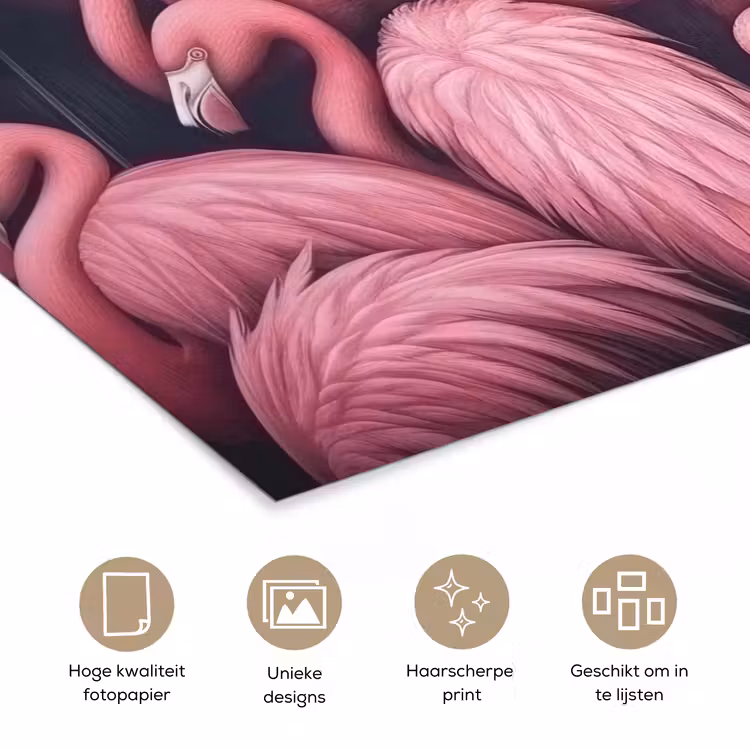 Poster - Flamingo - Roze - Dieren — 5
