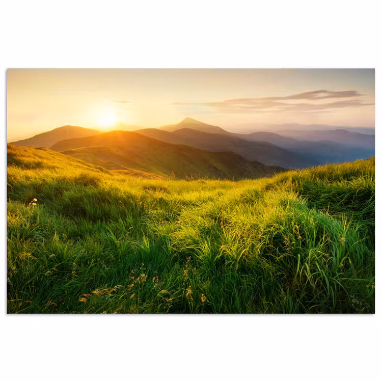 Poster - Gras - Heuvels - Zon - Natuur - Landschap — 1