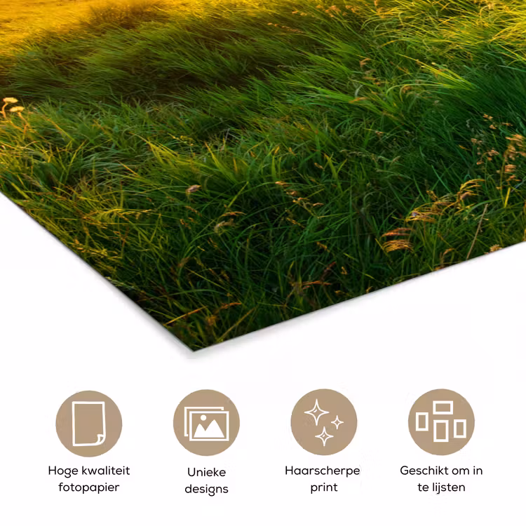 Poster - Gras - Heuvels - Zon - Natuur - Landschap — 5