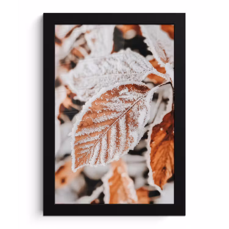 Poster met lijst - Bladeren - IJs - Winter - Natuur — 1