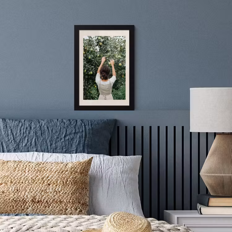 Poster met lijst - Boom - Appels - Plukken - Natuur — 4