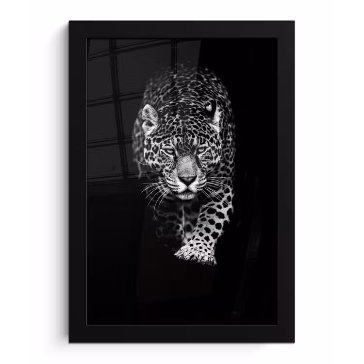 Poster met lijst - Dieren - Zwart - Luipaard - Wit - Wild — 1