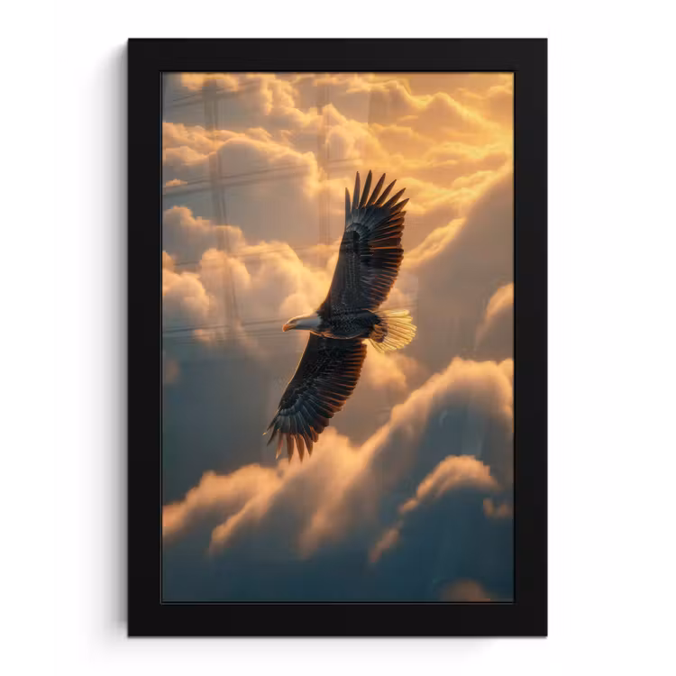 Poster met lijst - Adelaar - Wolken - Zon — 1
