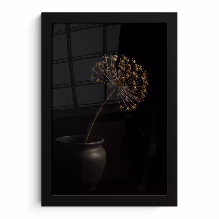 Poster met lijst - Bol - Gedroogd - Vaas - Zwart — 1