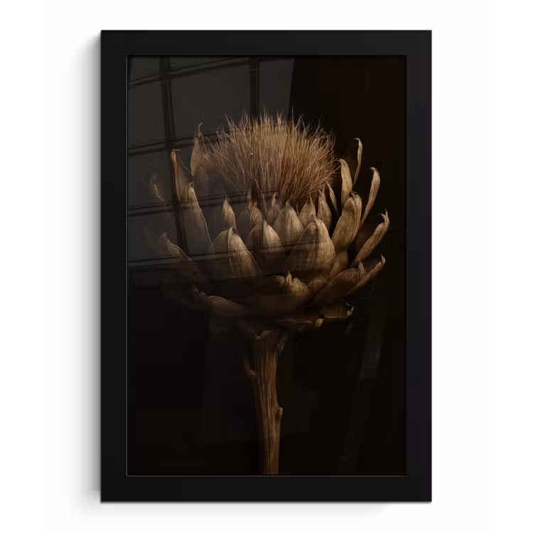 Poster met lijst - Donkerbruin - Bloem - Textuur - Artisjok — 1