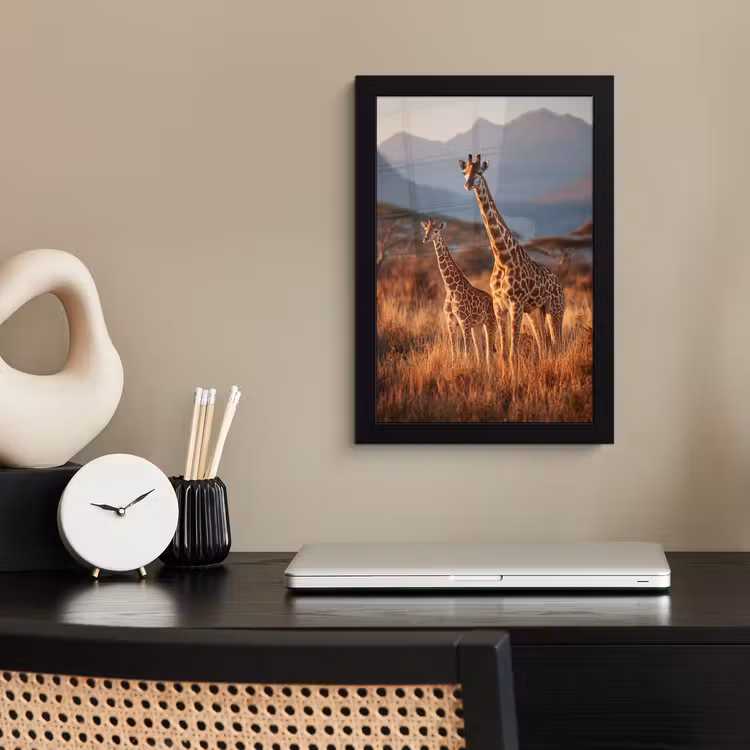 Poster met lijst - Giraffen - Hoog gras - Acaciabomen — 3