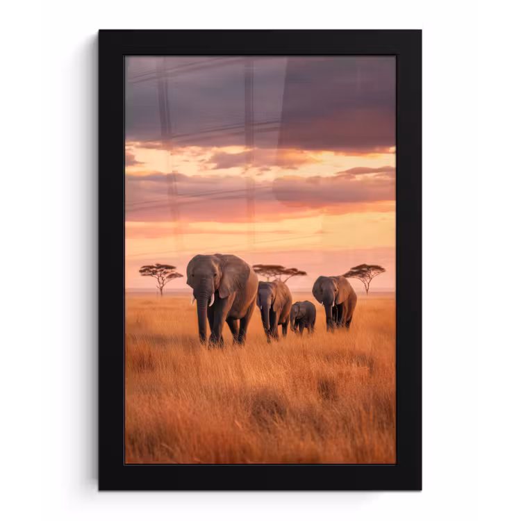Poster met lijst - Groep olifanten - Open vlakte - Zon — 1