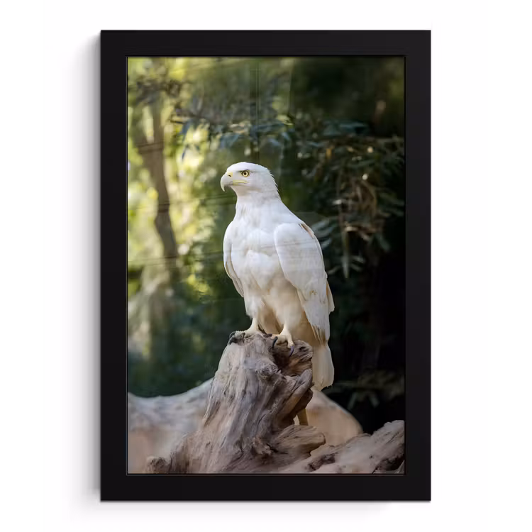 Poster met lijst - Arend - Hout - Wit - Planten — 1