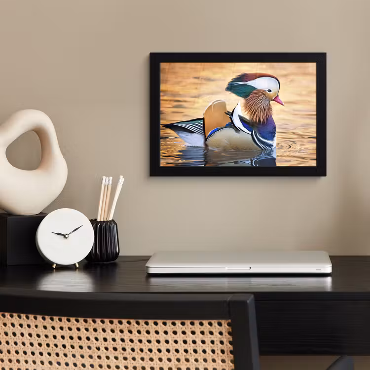 Poster met lijst - Close-up mandarijneend — 3
