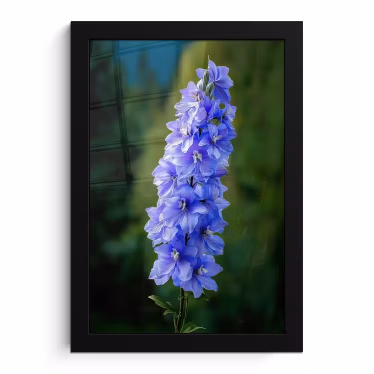 Poster met lijst - Bloemen - Blauw - Dennenboom — 1