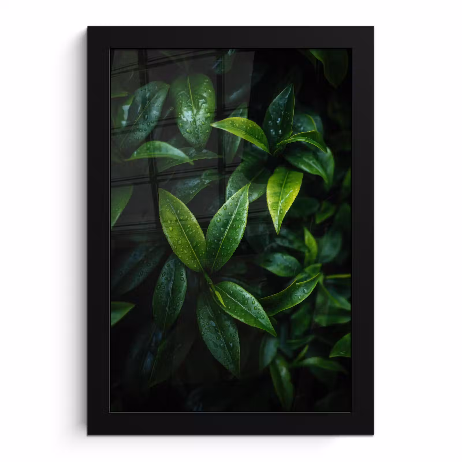 Poster met lijst - Bladeren - Regendruppels - Licht - Groen — 1