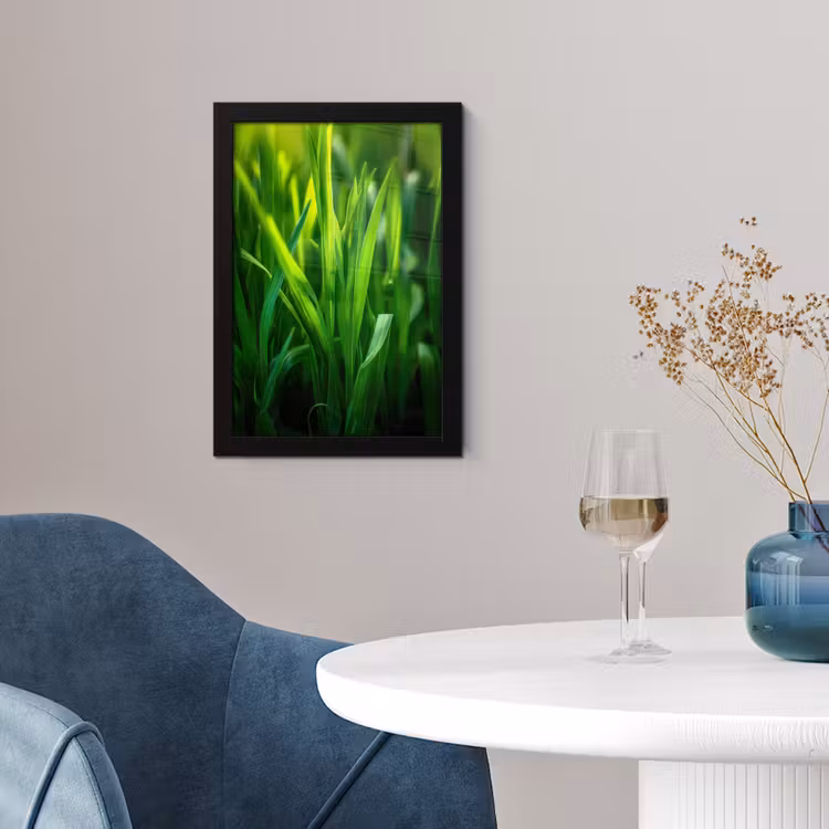 Poster met lijst - Grassprieten - Lichtinval - Groen — 2