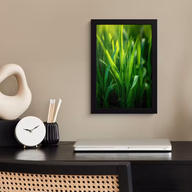 Poster met lijst - Grassprieten - Lichtinval - Groen — 3