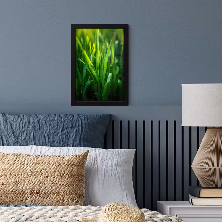 Poster met lijst - Grassprieten - Lichtinval - Groen — 4