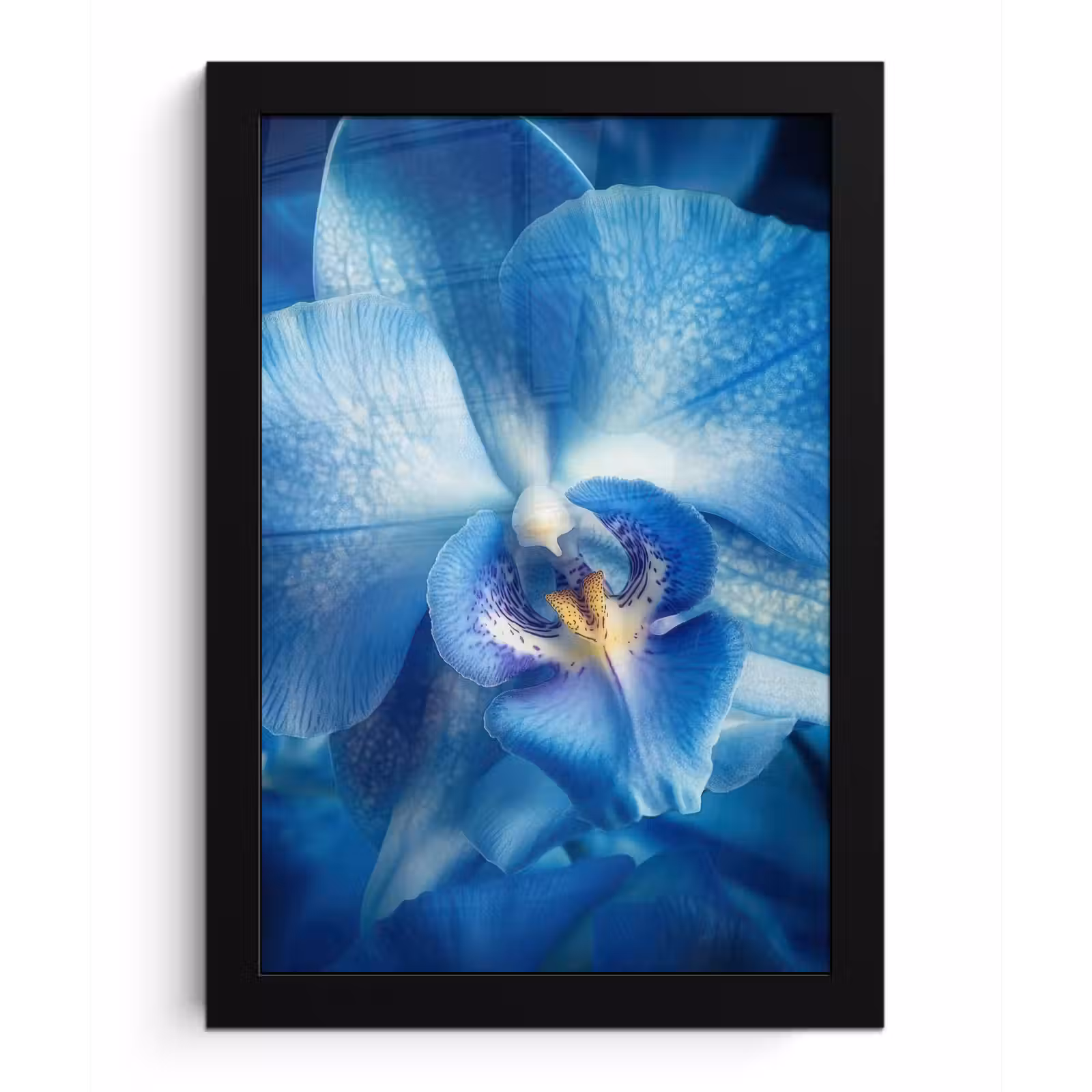 Poster met lijst - Blauw - Orchidee - Elegeant — 1