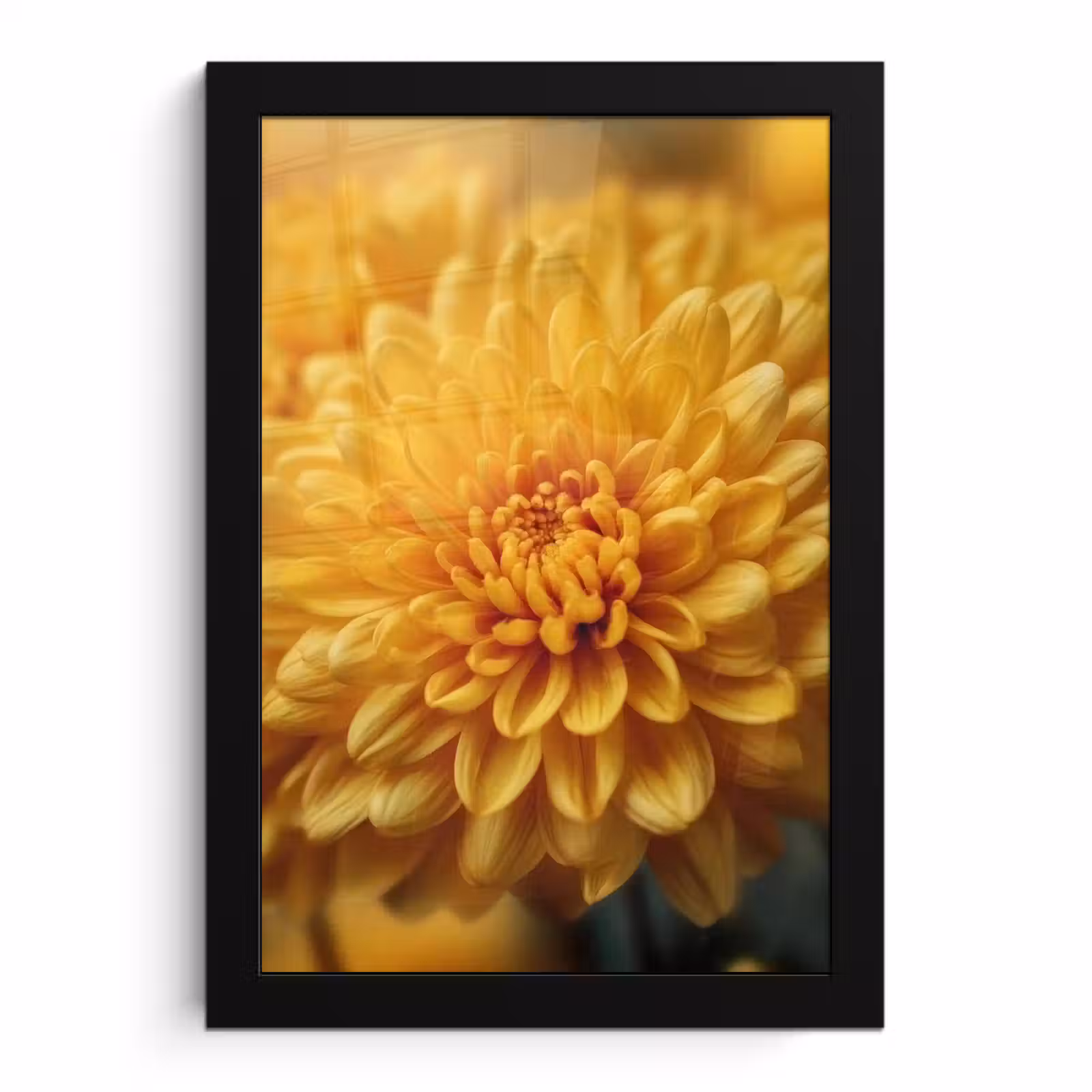 Poster met lijst - Geel - Chrysant - Zachtheid — 1