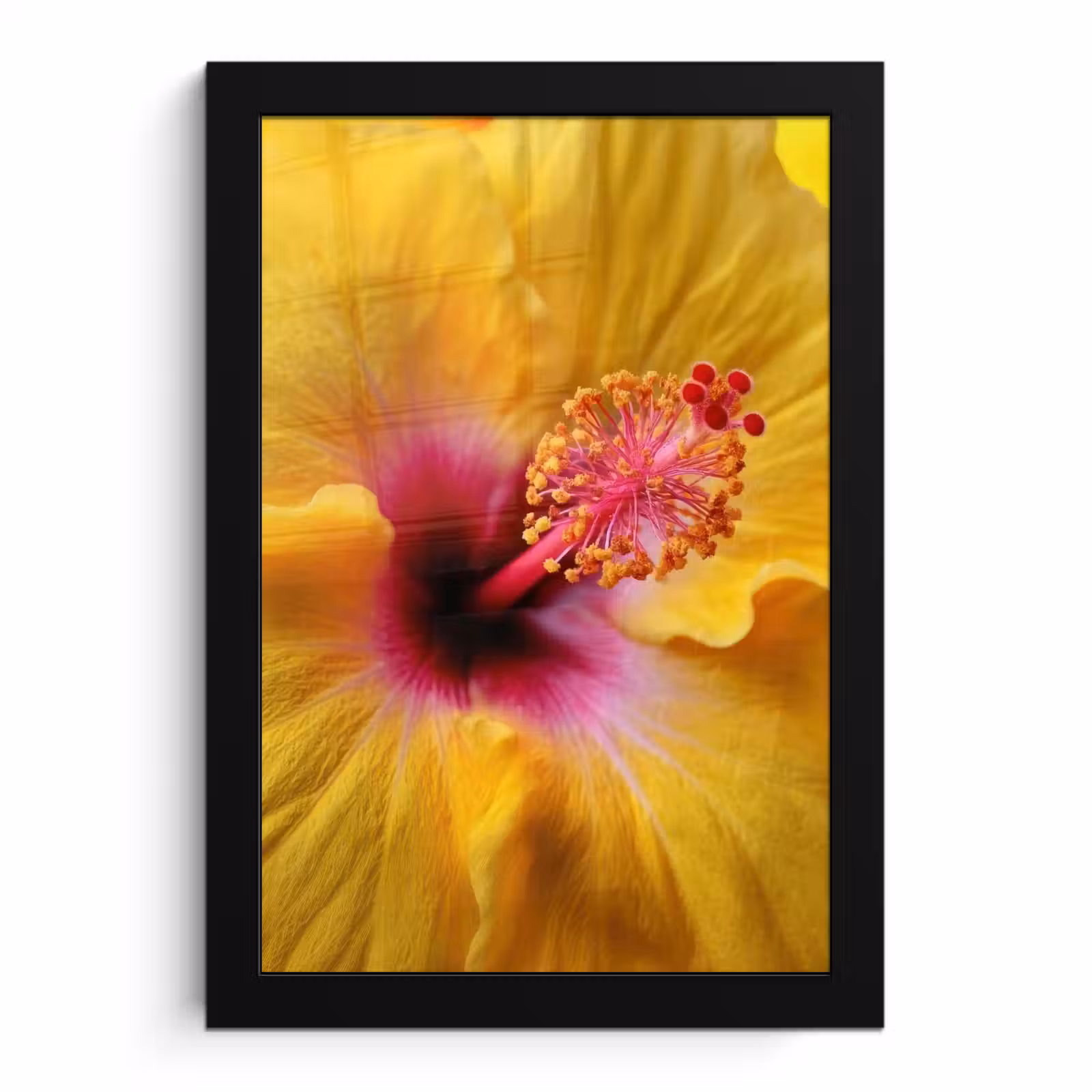 Poster met lijst - Geel - Hibiscus - Tropisch — 1