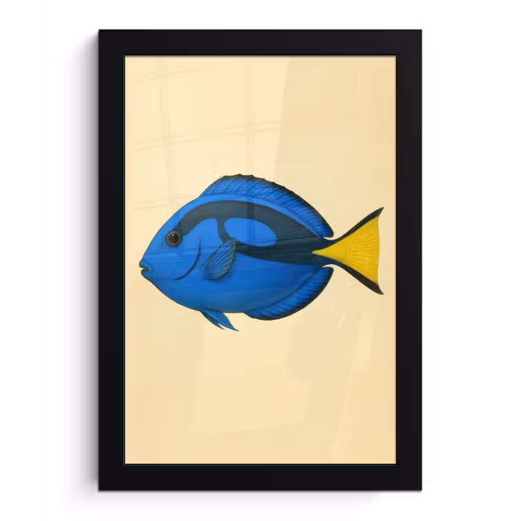 Poster met lijst - Blauw - Dory - Vis - Staartvin — 1