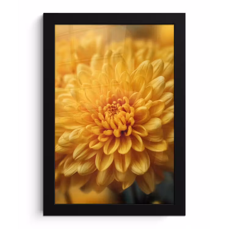 Poster met lijst - Geel - Chrysant - Zachtheid — 1