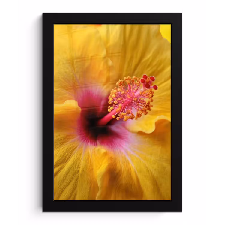 Poster met lijst - Geel - Hibiscus - Tropisch — 1