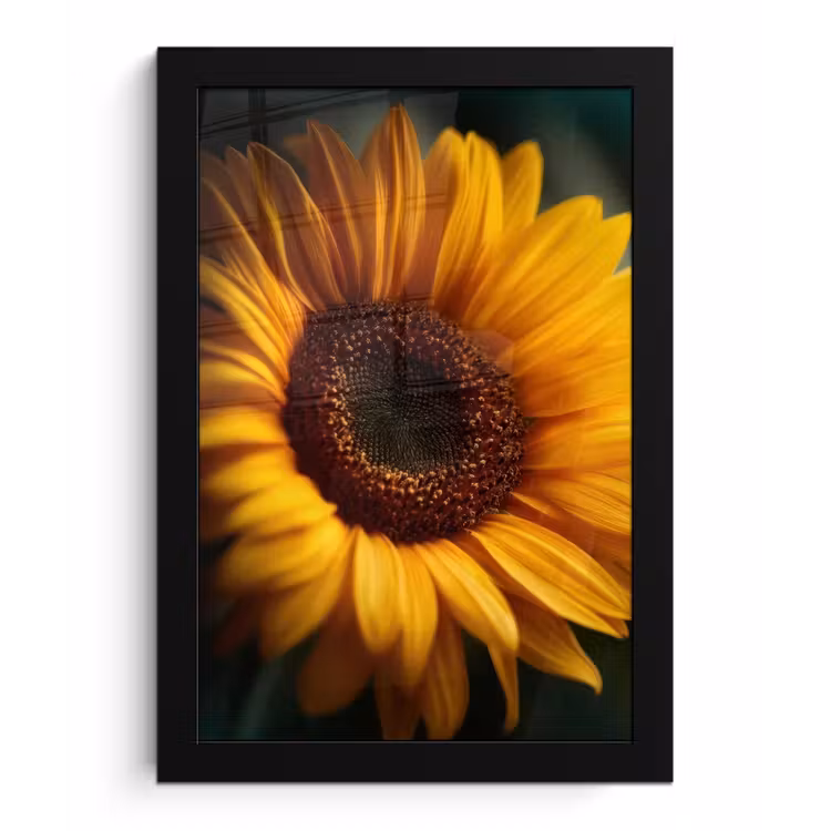 Poster met lijst - Geel - Zonnebloem - Zomers — 1