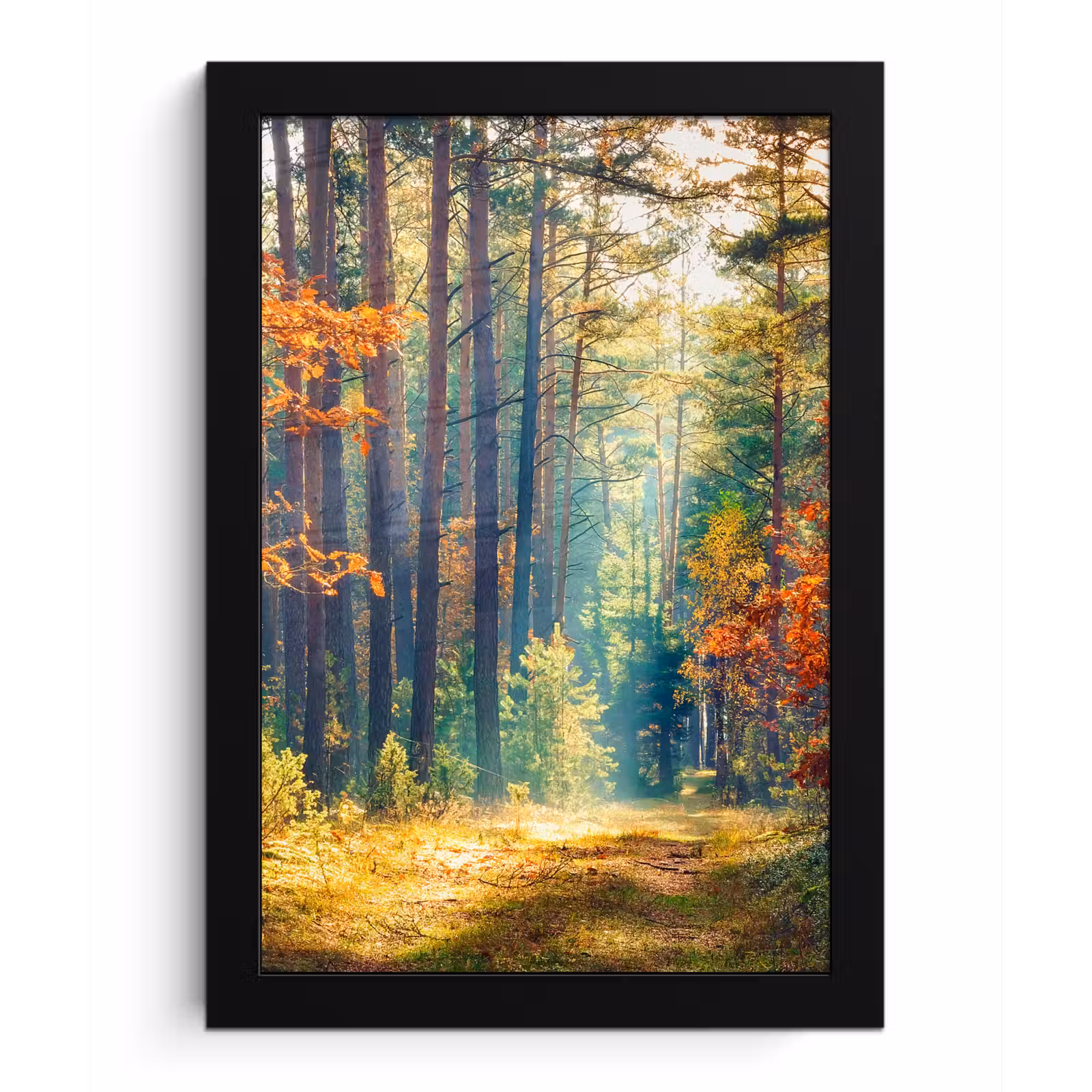 Poster met lijst - Bos - Zon - Natuur - Herfst — 1