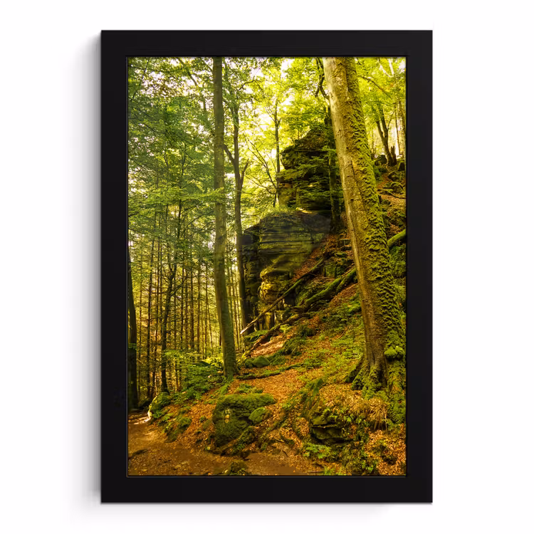 Poster met lijst - Bomen - Steen - Bos - Natuur - Planten — 1