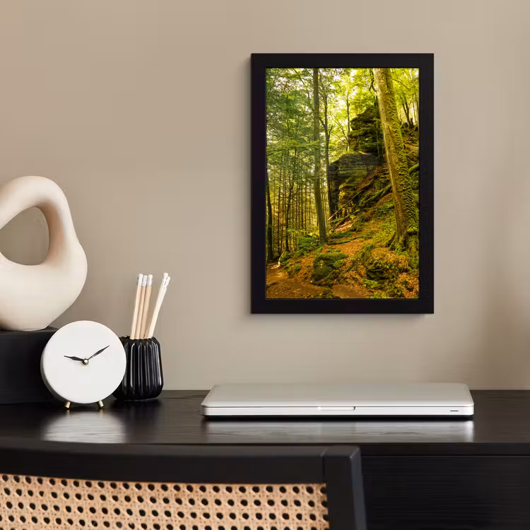 Poster met lijst - Bomen - Steen - Bos - Natuur - Planten — 3