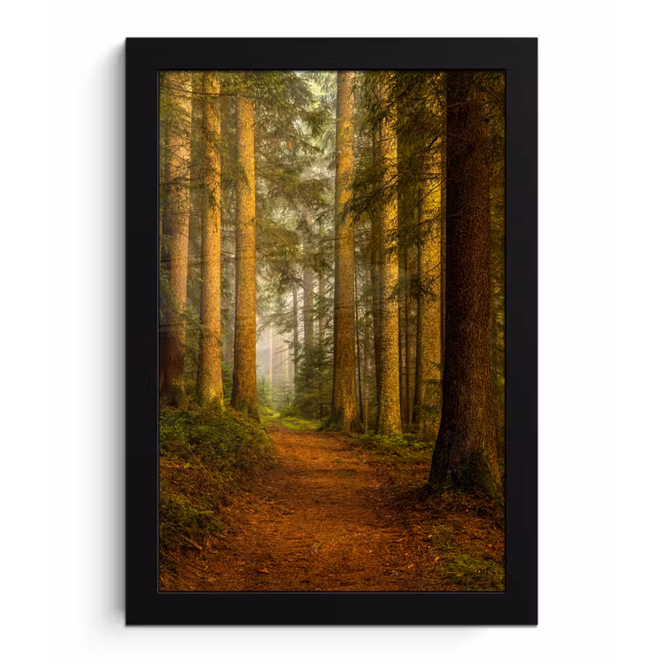 Poster met lijst - Bos - Natuur - Bomen - Landschap - Bladeren — 1