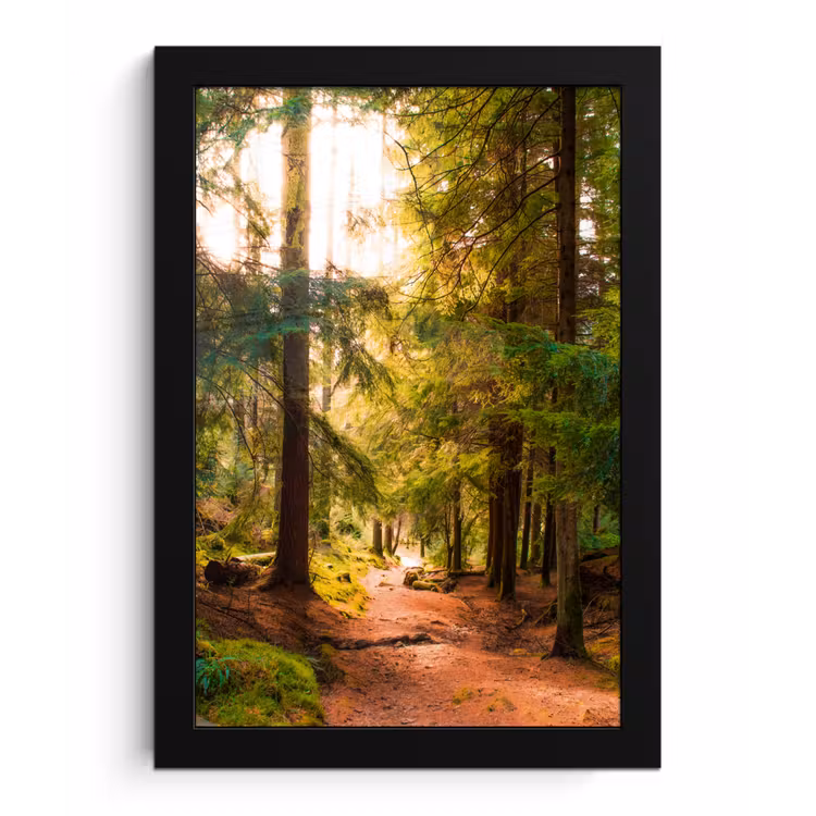 Poster met lijst - Bos - Pad - Bomen - Groen - Zon - Natuur — 1