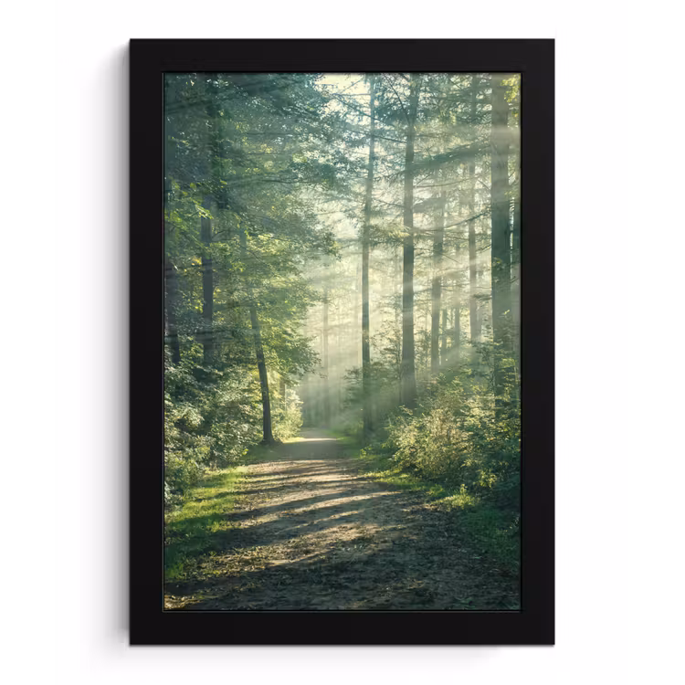 Poster met lijst - Bos - Pad - Zon - Bomen - Groen - Natuur — 1