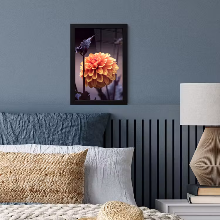 Poster met lijst - Bloemen - Chrysant - Macro - Planten — 4