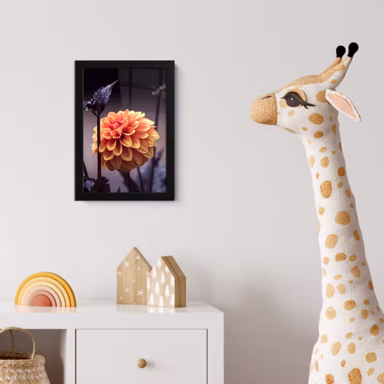 Poster met lijst - Bloemen - Chrysant - Macro - Planten — 5