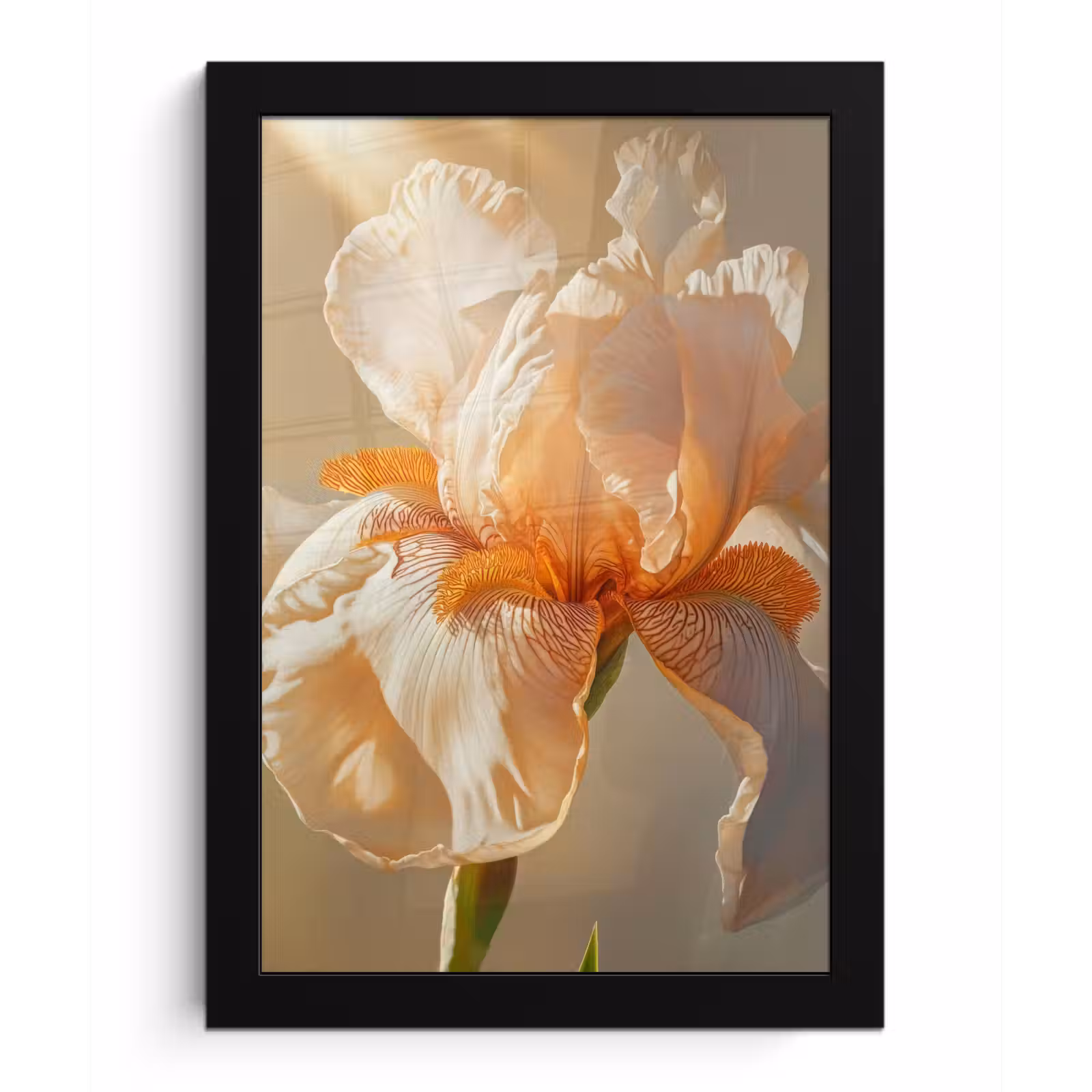 Poster met lijst - Close up - Oranje - Iris — 1